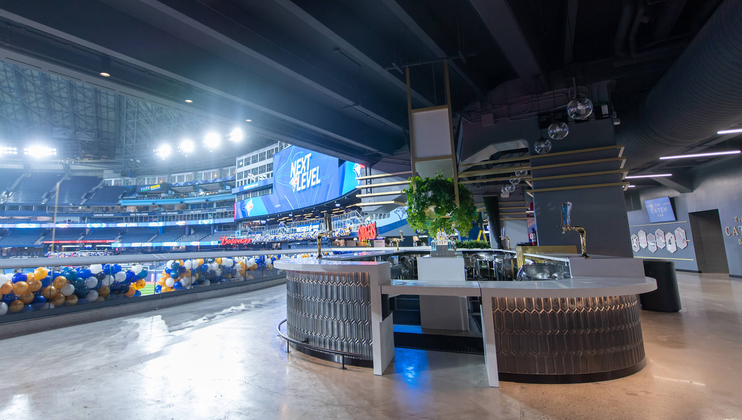 Toronto Blue Jays